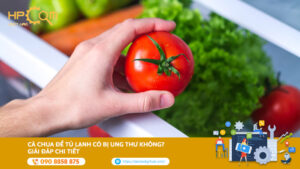 ca-chua-de-tu-lanh-co-bi-ung-thu-khong