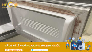 gioang-cao-su-tu-lanh-bi-moc