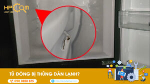 tu-dong-bi-thung-dan-lanh