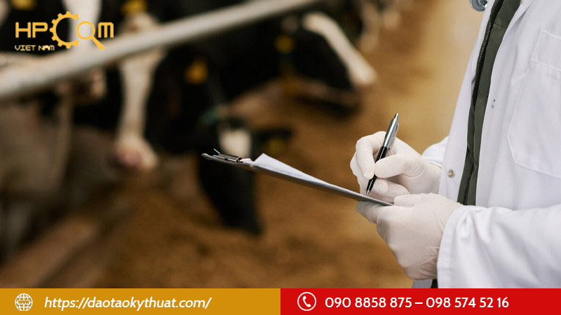 nganh-thu-y-chan-nuoi