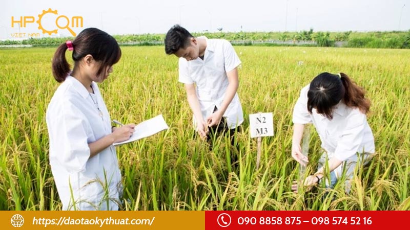 nganh-nong-lam-ngu-nghiep