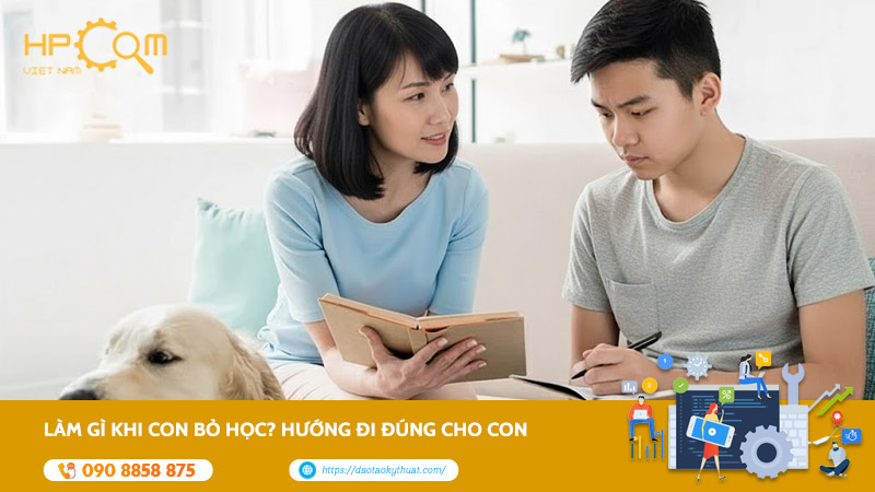 lam-gi-khi-con-bo-hoc