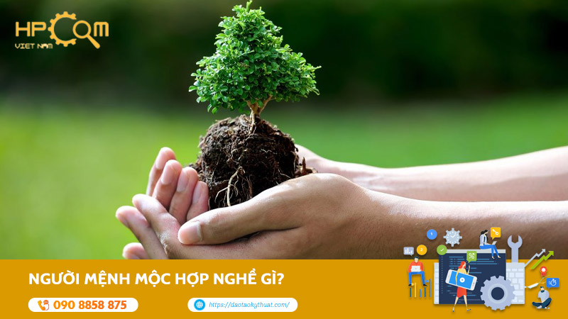 nguoi-menh-moc-hop-nghe-gi