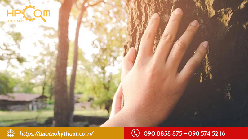 tinh-cach-va-dac-diem-cua-nguoi-,menh-moc