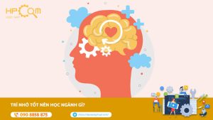 tri-nho-tot-nen-hoc-nganh-gi